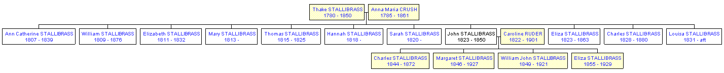 Mini tree diagram