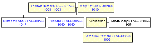 Mini tree diagram