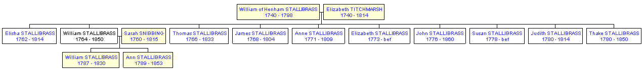 Mini tree diagram