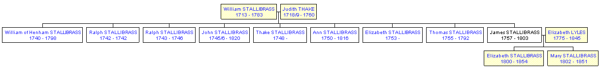 Mini tree diagram