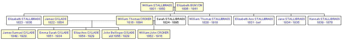 Mini tree diagram