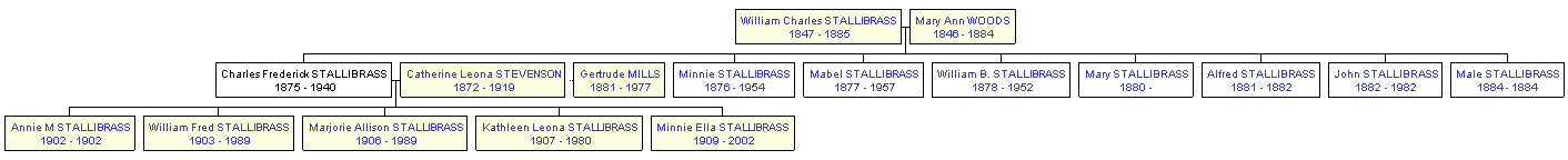 Mini tree diagram