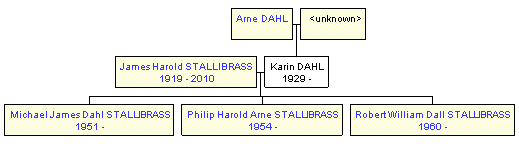 Mini tree diagram