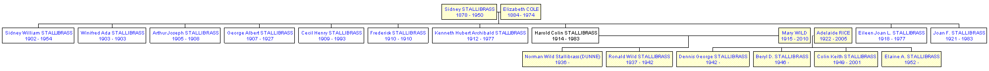 Mini tree diagram