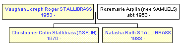 Mini tree diagram