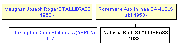 Mini tree diagram