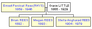 Mini tree diagram