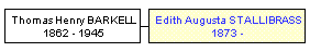 Mini tree diagram