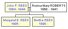 Mini tree diagram