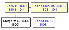 Mini tree diagram