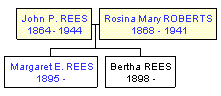 Mini tree diagram