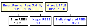 Mini tree diagram