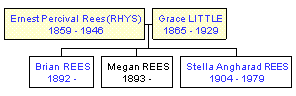 Mini tree diagram