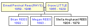 Mini tree diagram