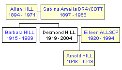 Mini tree diagram