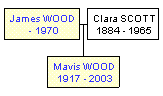 Mini tree diagram