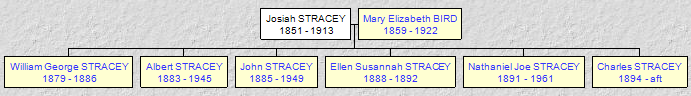 Mini tree diagram